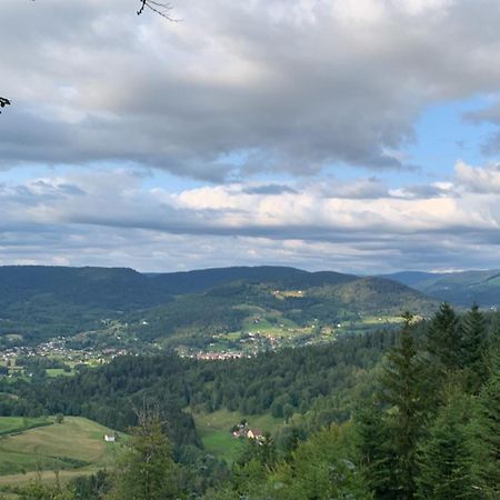 Monts Et Reves Panzió Ramonchamp Kültér fotó